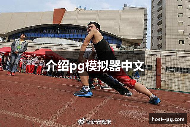 介绍pg模拟器中文